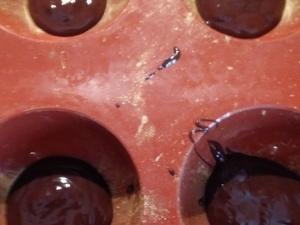 Dômes en chocolat à la mousse de marron Les dômes cliquer sur les photographies pour agrandir