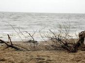 samedi c'est mise plis