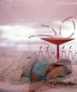 MÉMOIRE: Pourquoi il vaut mieux dormir dessus – eLife