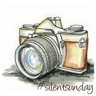 Silent sunday 26