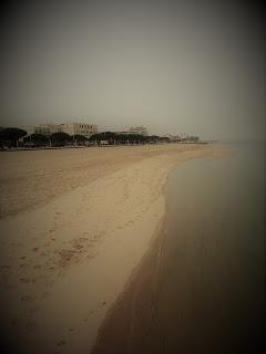 Arcachon: Bassin L'hiver comme un voile s'étend sur la mer, la ville Balafrée par le gris du ciel by Senaq