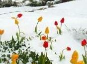 résolution envisageable pour 2017: devenir consom’acteur.