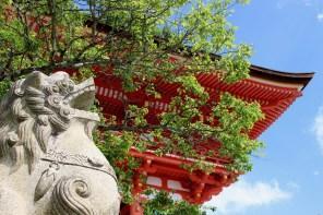temple japon kyoto