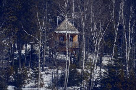 Ma Cabane dans les arbres