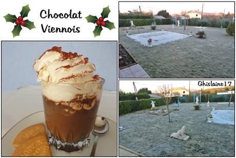 Chocolat Viennois (et jardin gelé par un matin d'hiver)
