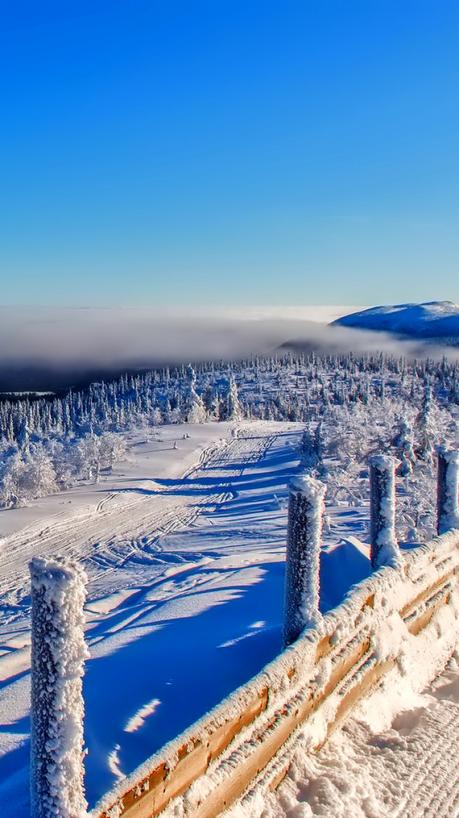 5 fonds d'écran en mode hiver pour votre iPhone