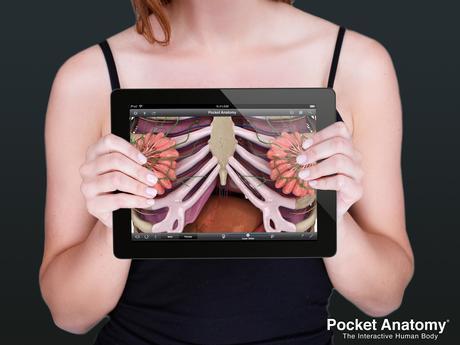 Gratuit : Pocket Anatomy sur iPhone et iPad (au lieu de 14.99€)