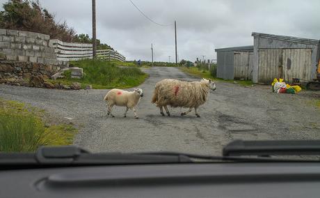 Road trip en Ecosse, étape 4 : L'île de Skye