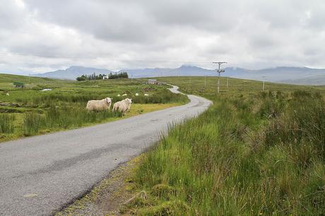 Road trip en Ecosse, étape 4 : L'île de Skye