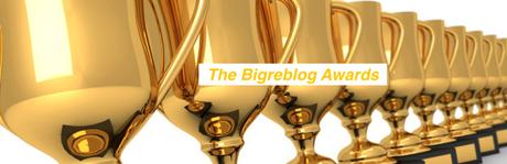 Les Bigreblog Awards 2016