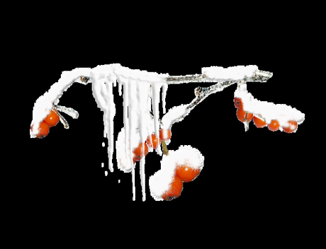 le froid et la santé