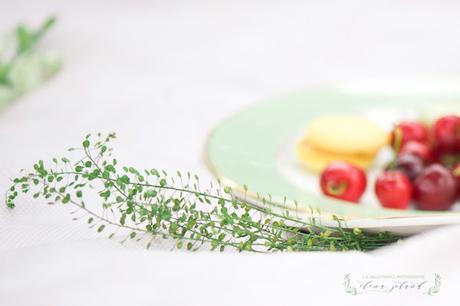 Vacances à Toulouse. Shooting photos d'inspiration. Holydays in Toulouse. Inspiration shooting photos. Vacances à Toulouse. Shooting photos d'inspiration. Holydays in Toulouse. Inspiration shooting photos.