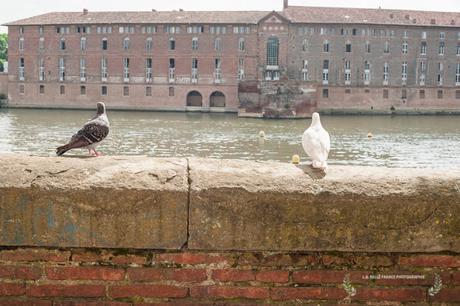 Vacances à Toulouse. Shooting photos d'inspiration. Holydays in Toulouse. Inspiration shooting photos. Vacances à Toulouse. Shooting photos d'inspiration. Holydays in Toulouse. Inspiration shooting photos.