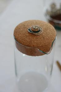 Table capsules Nespresso