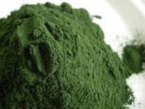 La spiruline, c’est quoi ? Spiruline en poudre en vente chez Bien et Bio