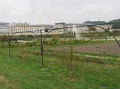 goûter chez Nina's, pour jouer comme Marie-Antoinette