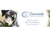 L’Association Sauvade, pour sauver chiens chats abandonnés l’Île Réunion