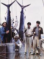 Fameuses Collaborations Cinématographiques