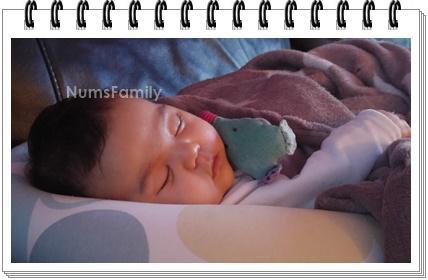 Une semaine avec la NumsFamily #02-2017 Une semaine avec la NumsFamily #02-2017