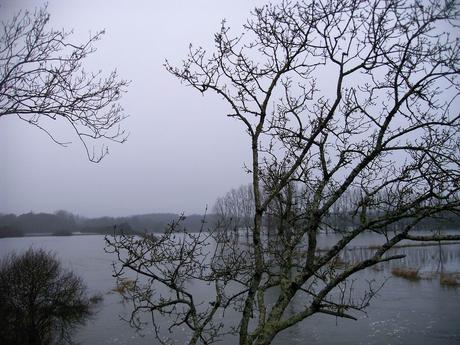 les sentiers du monde