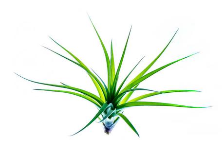 Cool still life series by Jeff Minton