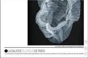 Galerie du CROUS PARIS  « Jeux de Rôle(re)présenter le travail -Gilberto GUIZA-ROJAS  11/22 Avril 2017