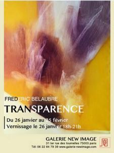 Galerie New Image exposition Frederic BELAUBRE « Transparence » 26 Janvier au 15 Février 2017