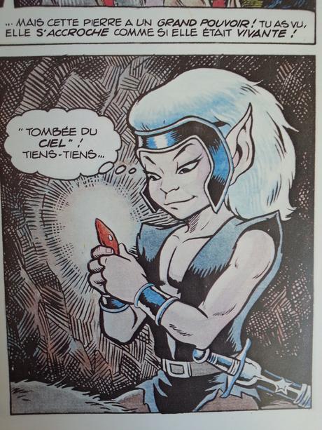 La Quête des Elfes. Elfquest 1. Les Rescapés du Feu. Richard et WWendy PINI - 1989 (BD)