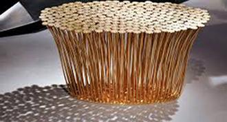 Découvrez l’Architecte, Designer* inspiré par le Végétal !