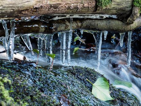 matin frais sur le ruisseau ( 10 photos)