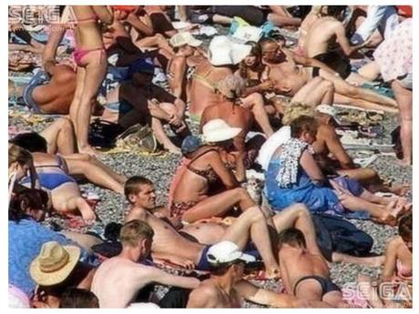 Divers - Trouver les chats.....