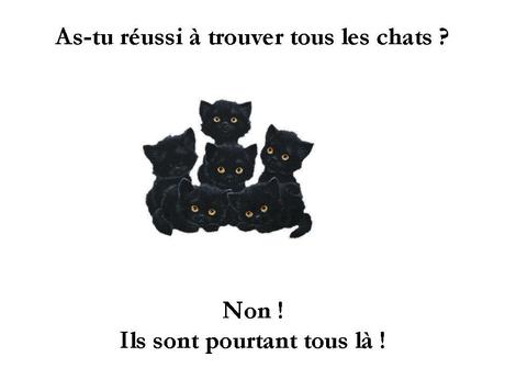Divers - Trouver les chats.....
