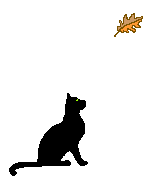 Divers - Trouver les chats.....