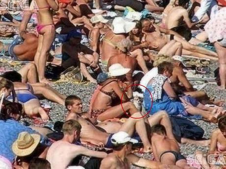 Divers - Trouver les chats.....