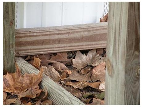 Divers - Trouver les chats.....