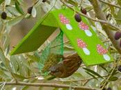 Idée récup' mangeoires cagette