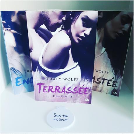 Terrassée | Tracy Wolff (Ethan Frost #3)