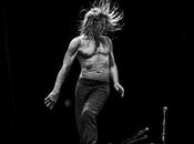 Arte Replay d’Iggy Royal Albert Hall Museum