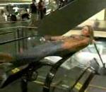 vidéo toupis escalator