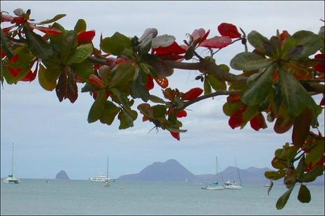 Sainte-Anne (Martinique)