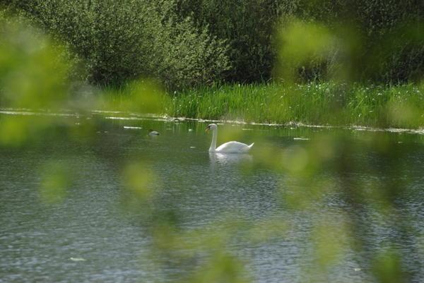 Les étangs de Fontaine Française