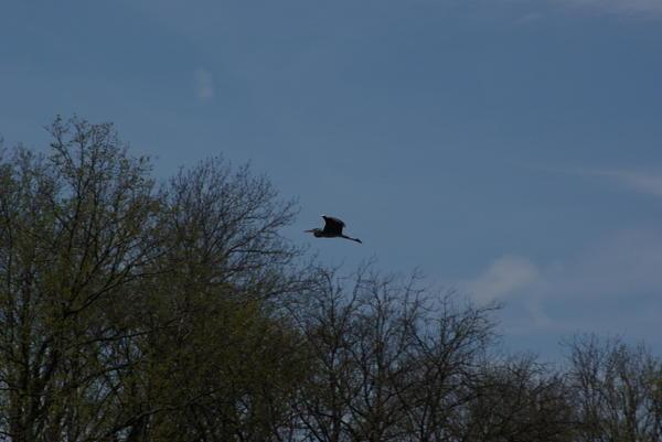 Les étangs de Fontaine Française