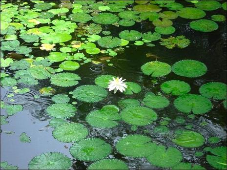 Nord et Sud (divers)