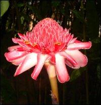 Nord et Sud (divers)