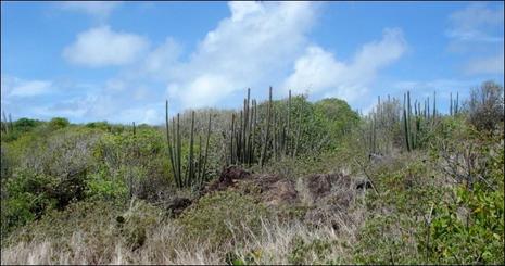 Nord et Sud (divers)