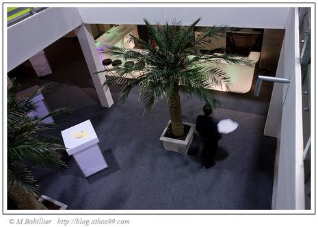 Zone VIP FanZone Euro 2008 Genève