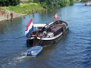 Florilège plaisance....été 2008