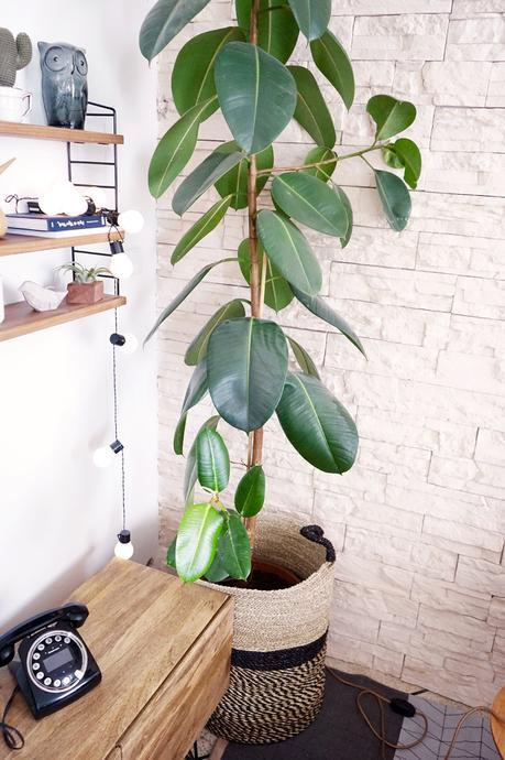 Mon coin télé : nouvelle déco, plantes et mix de styles