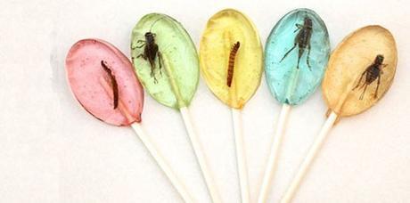 Et si nous mangions des insectes ?