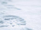 piste soleils Jack LONDON